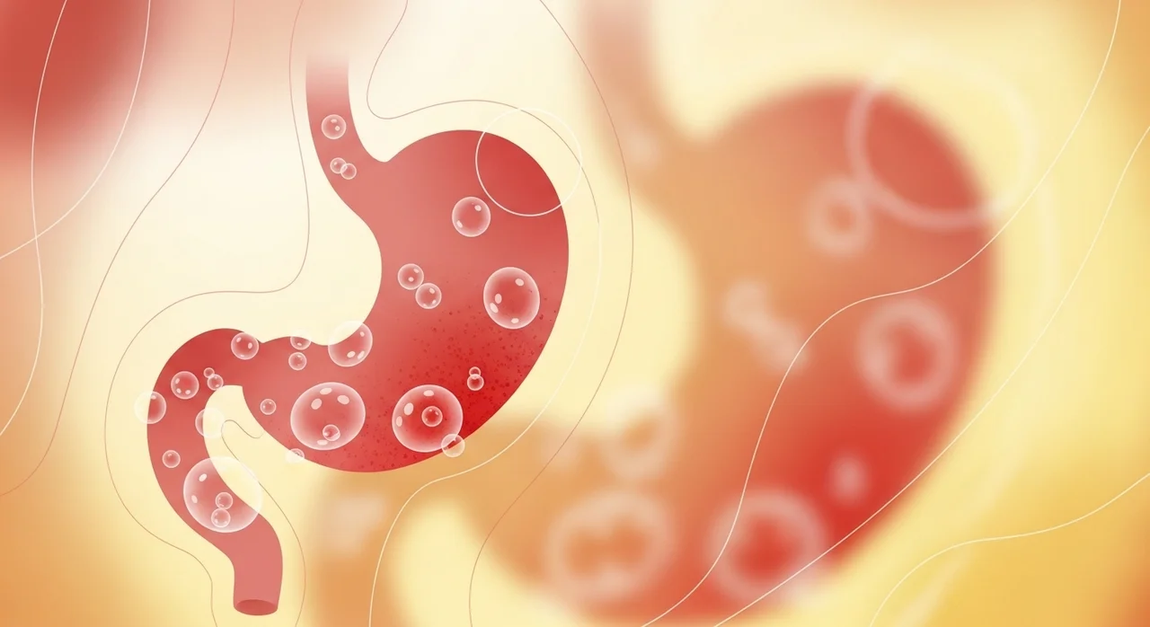 3. 소화기계 질환: 위염과 과민성 대장 증후군