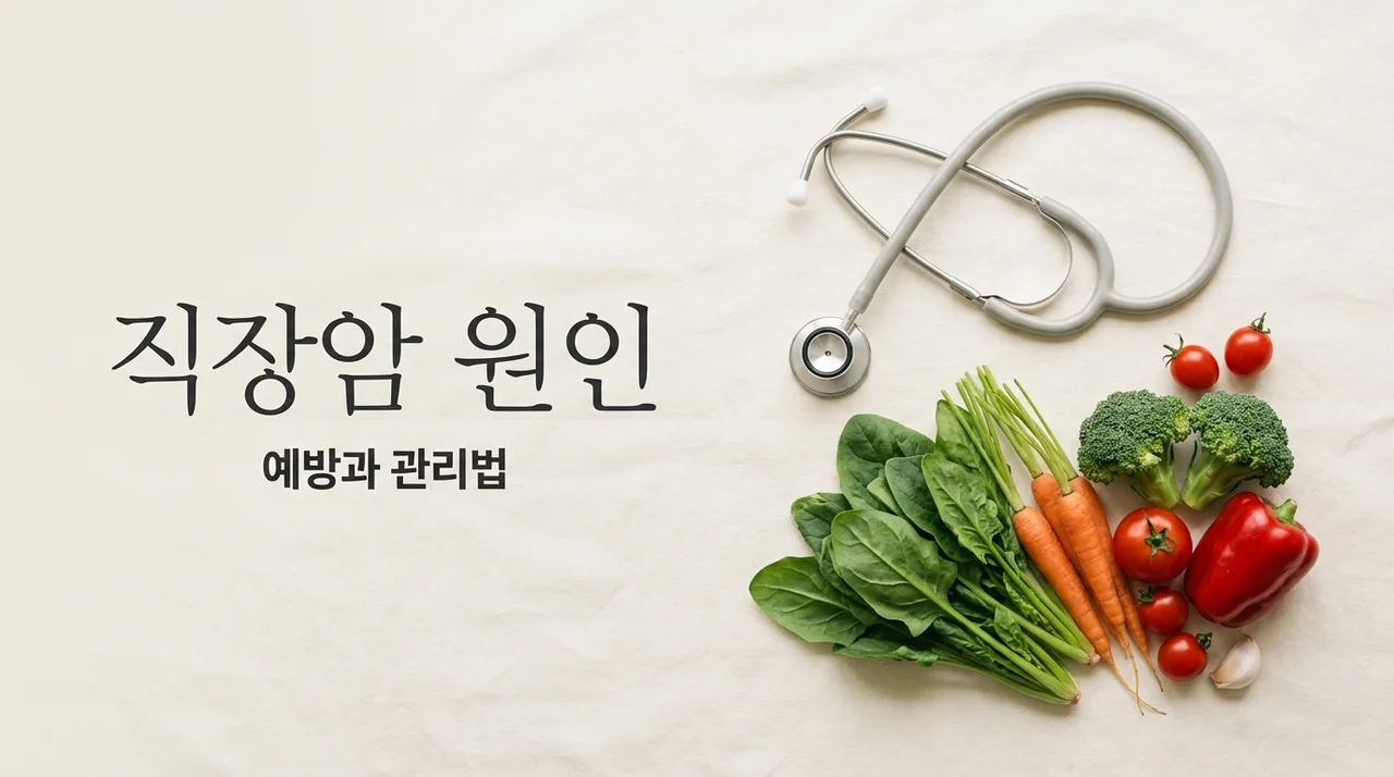 직장암 원인과 예방 방법: 꼭 알아야 할 핵심 정보